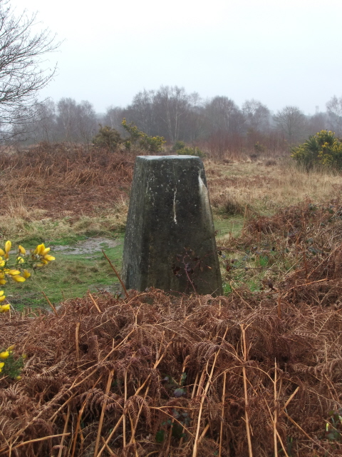 North Chailey - trig point