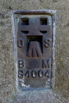 Frog Firle - flush bracket