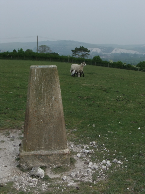 Spring Barn - trig point
