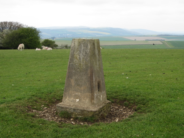 Barpham Hill - trig point