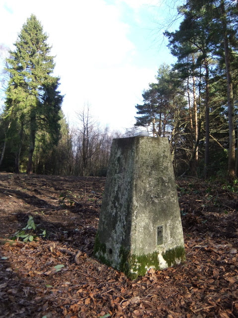 Beacon Hill - trig point
